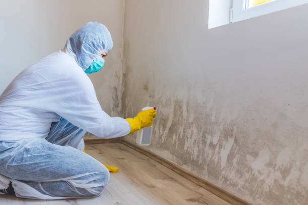 Licensed Crawl Space Mold Removal service in Chesapeake Beach, MD - WQB Mold Removal