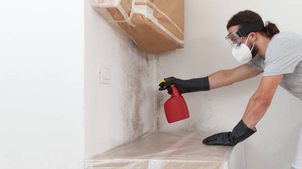 Professional Crawl Space Mold Removal technician working in Chesapeake Beach, MD