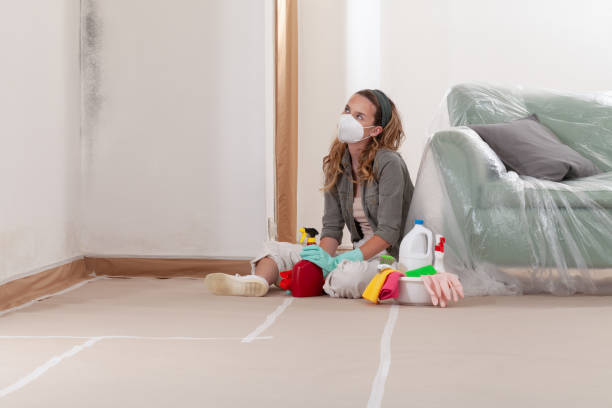 Reliable Crawl Space Mold Removal contractor in Chesapeake Beach, MD by WQB Mold Removal